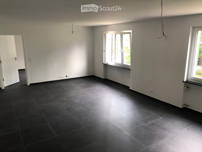 Empty room with dark tiled floor, white walls, and two windows with open shutters. There is a door on the left side.