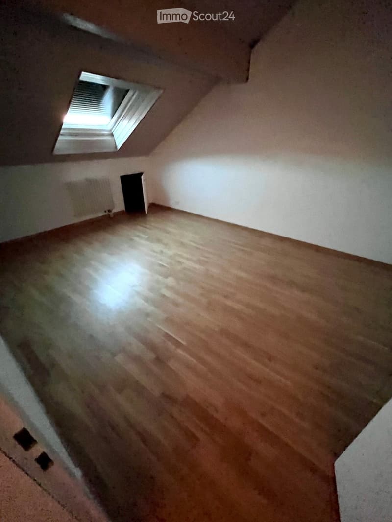 Empty attic space with wooden flooring, white walls, and a skylight window providing natural light.