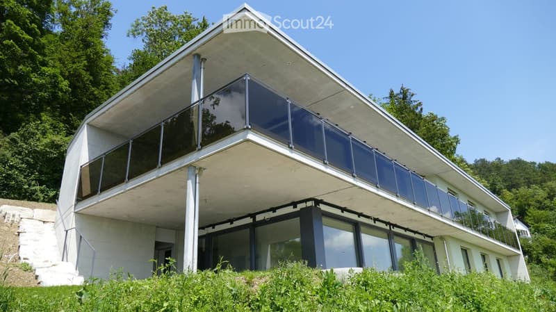 Modern two-story house with large glass windows and a raised ground floor, surrounded by greenery.