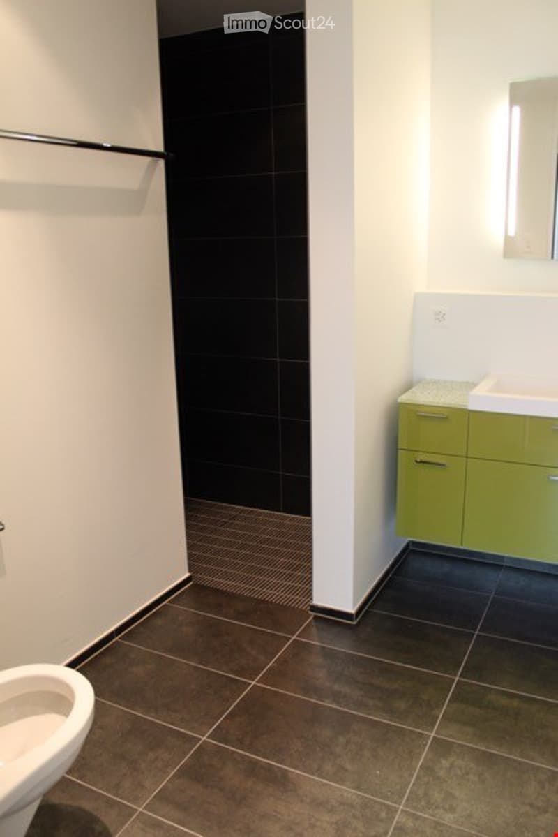Modern bathroom with dark brown tiles, green cabinets, a white sink, and a mirror above it.