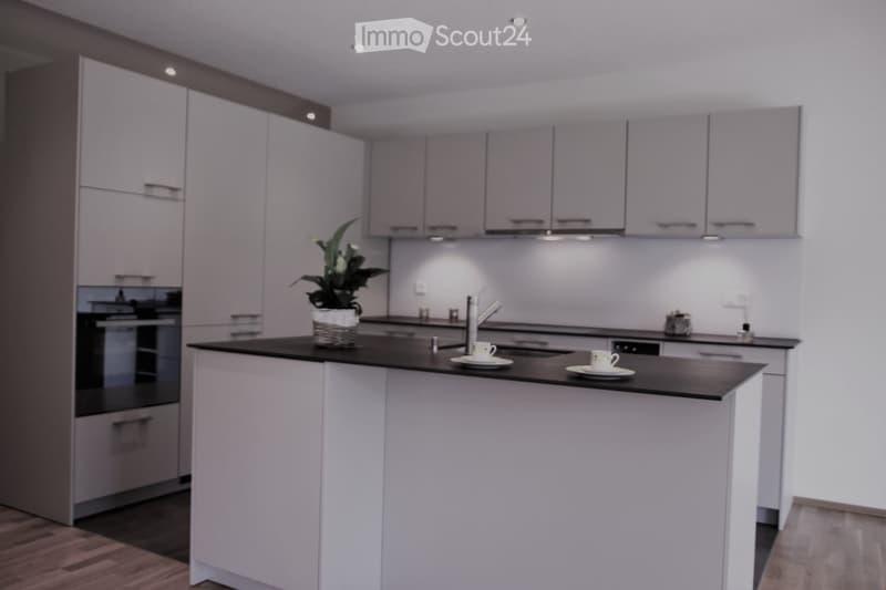 Modern kitchen with white cabinets, black countertop, island, sink, and decorative plant.