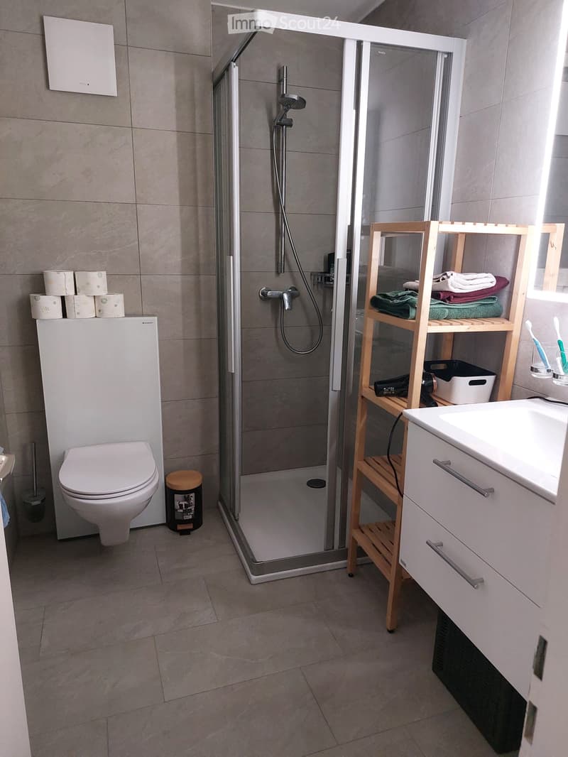 Modern bathroom with a white toilet, sink, and glass-enclosed shower. Wooden shelf holds towels and toiletries, with a toothbrush holder on the sink.