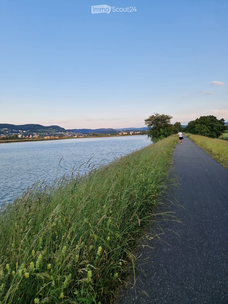 A paved pathway runs alongside a calm body of water, with tall grass and wildflowers on one side and trees on the other. A person is walking along the path in the distance.