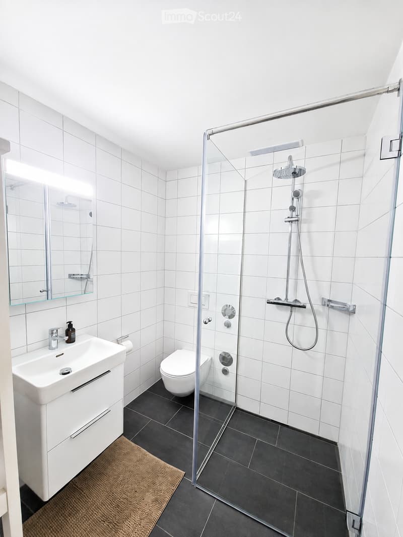 Modern bathroom with white tiles, a glass-enclosed shower, a white sink, and a toilet. Features a built-in storage cabinet under the sink and a small brown rug on the floor.