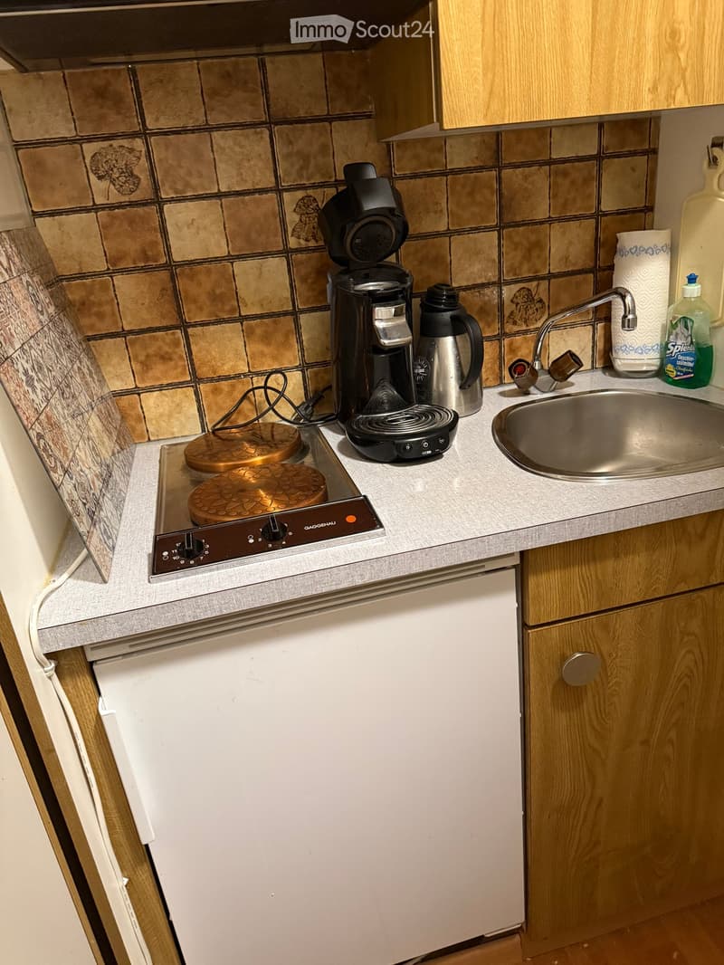Compact kitchen with wooden cabinets, a stainless steel sink, an induction cooktop, a coffee maker, and a dishwasher.
