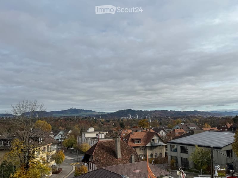 Aerial view of a town with various houses, surrounded by trees and mountains, cloudy sky