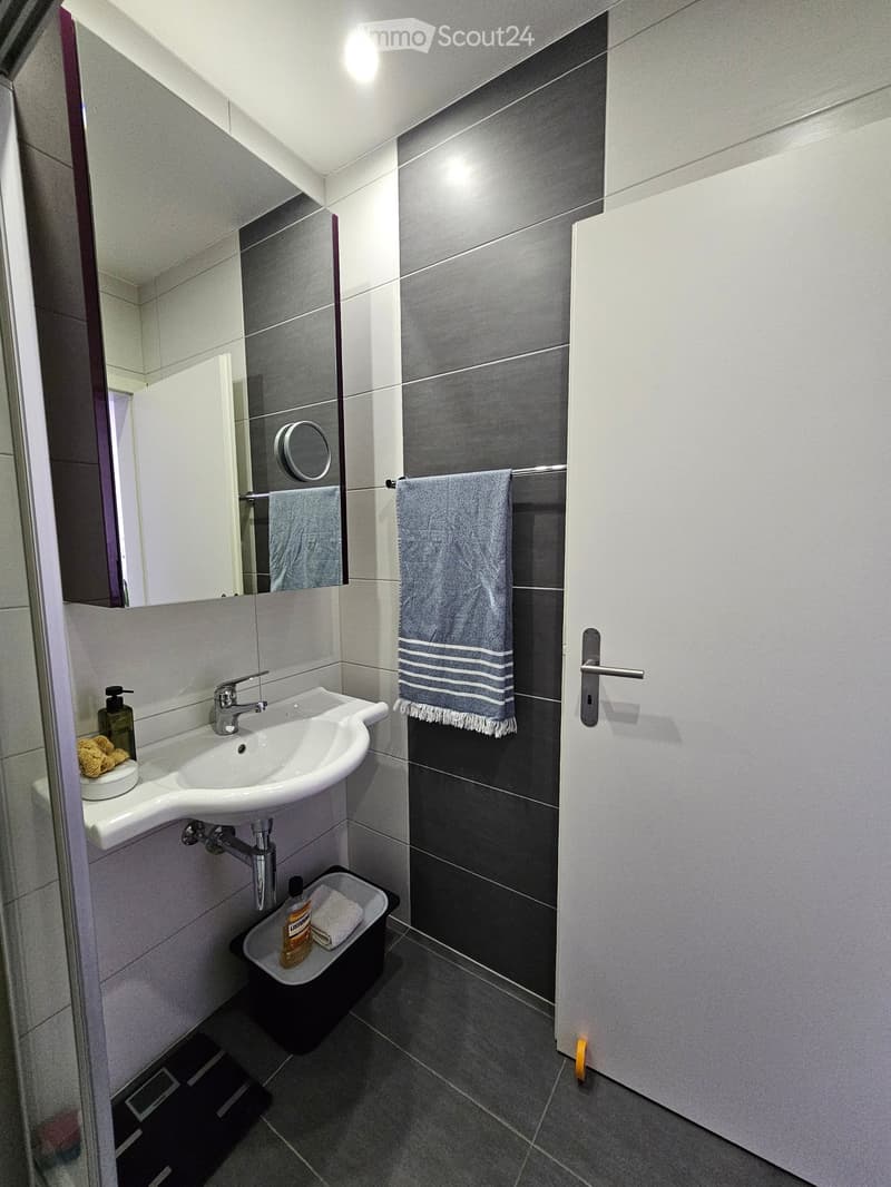Modern bathroom with a white sink, chrome faucet, large mirror, towel, soap dispenser, and a small trash bin.