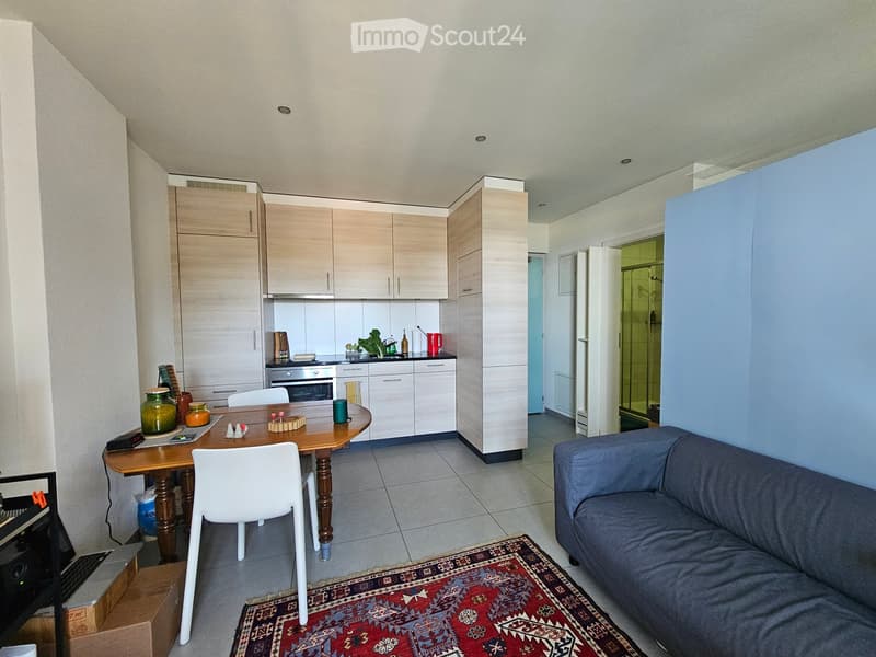 A modern, open-plan living and dining area with a grey sofa, a wooden dining table with chairs, a laptop on a box, and a kitchen area with cabinets, an oven, and various kitchen items.