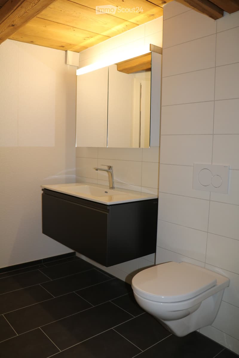 Modern bathroom with black tiles, white sink, chrome faucet, large mirror, and dark cabinet.