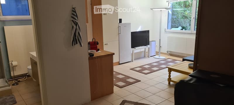 A modern living room with a sofa, coffee table, television, refrigerator, and floor lamp. The space is well-lit with large windows and features a tiled floor and patterned rugs.
