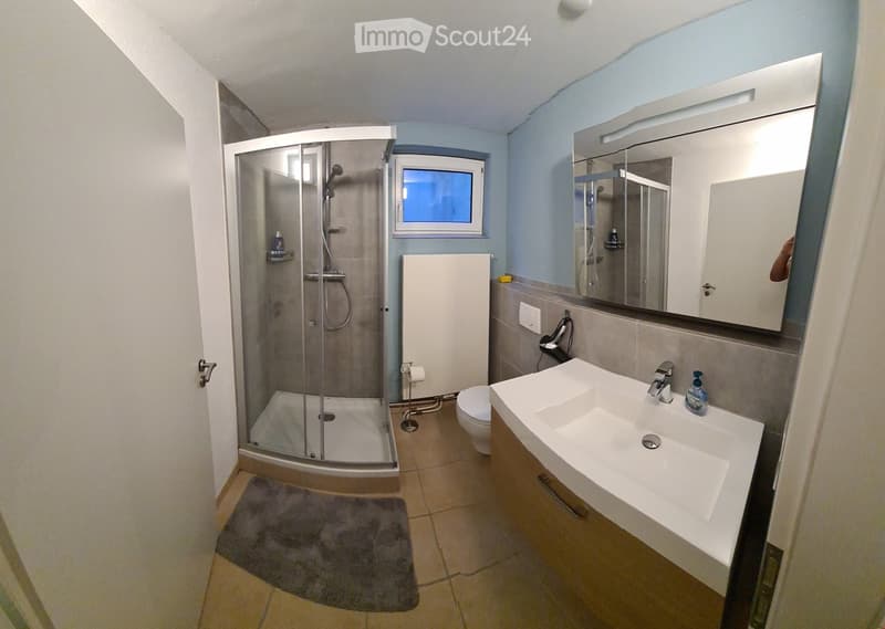 Modern bathroom with a white sink, mirror cabinet, toilet, glass-enclosed shower, and a small window above the shower. The floor is tiled, and a grey rug is placed in front of the shower.