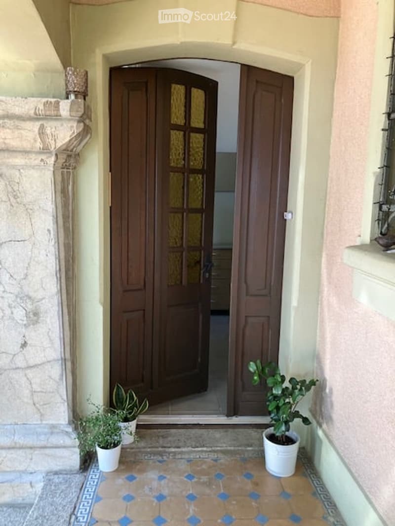 Entrance hallway with double wooden doors, potted plants on either side, decorative tiles on floor.
