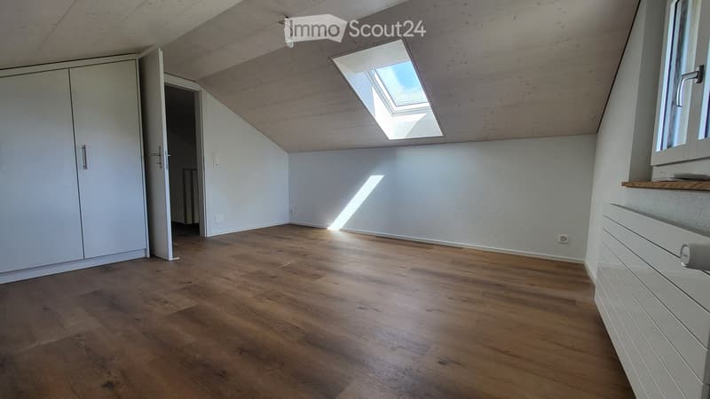 Empty attic room with wooden flooring, white walls, skylight window, and built-in closet.