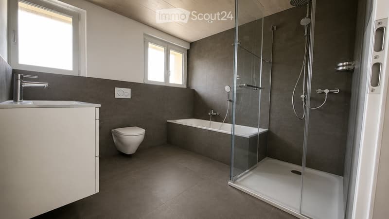 Modern bathroom with dark grey tiles, a white sink with a chrome faucet, a toilet, a bathtub, and a glass-enclosed shower with multiple showerheads.