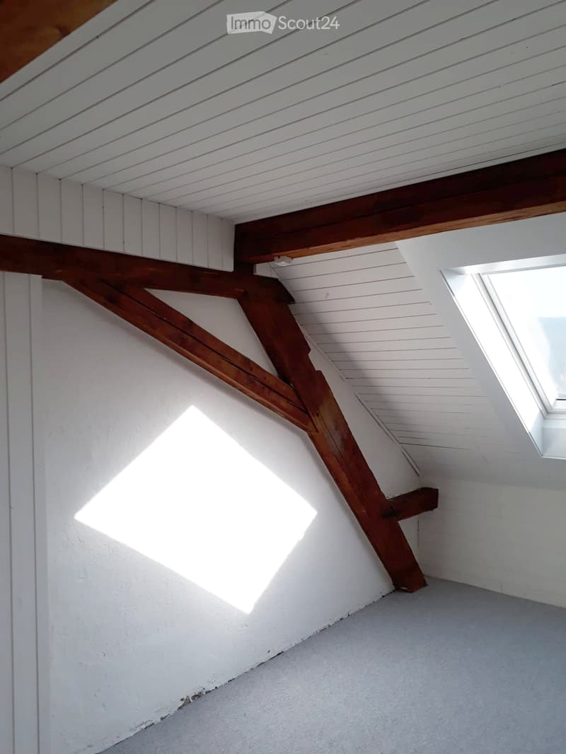 Empty attic space with exposed wooden beams, white paneled ceiling, and a skylight window allowing natural light to enter.