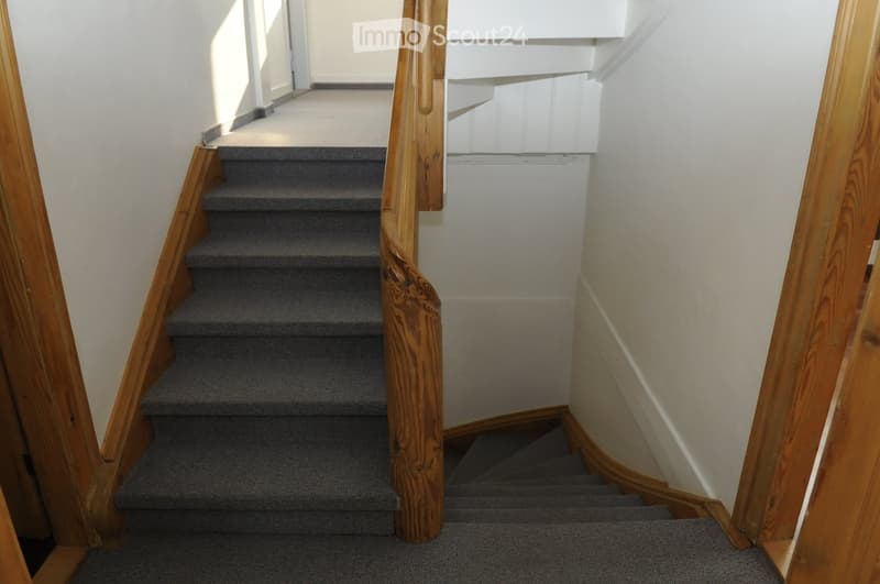 wooden staircase, carpeted steps, wooden railings