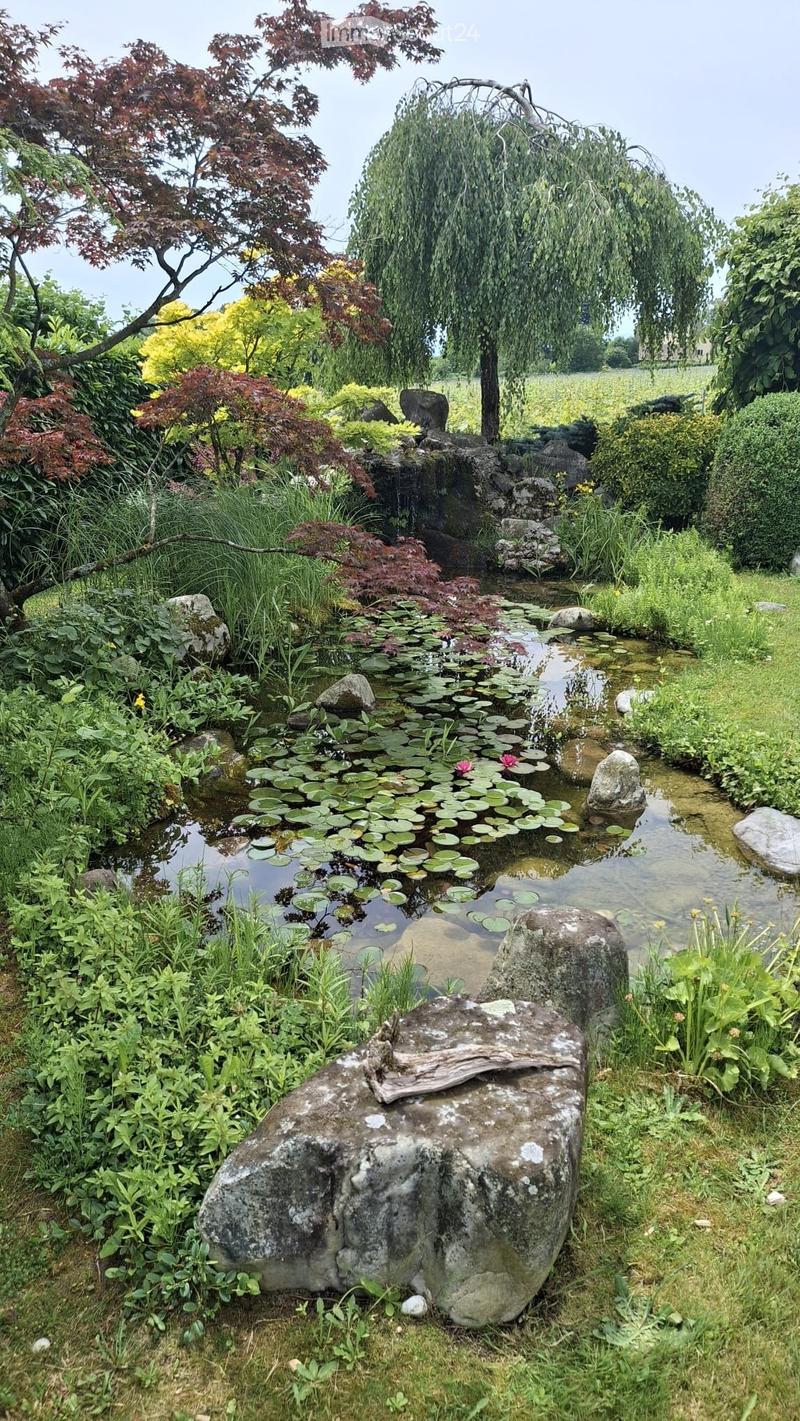 A serene garden with a pond covered in lily pads, surrounded by lush greenery, rocks, and a weeping willow tree.