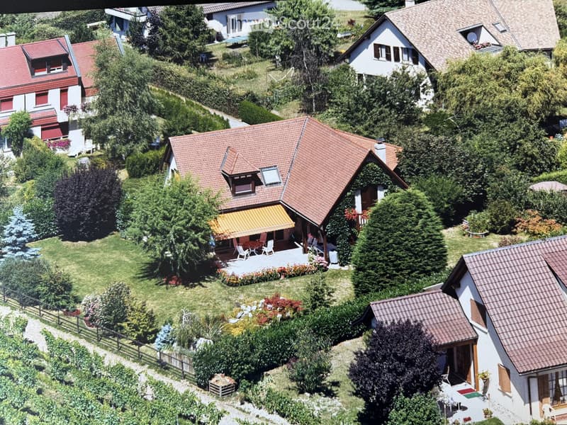Aerial view of a residential area with multiple houses, gardens, and outdoor seating areas. The central house features a patio with chairs and a table, surrounded by greenery and flowers. Other houses are visible in the background with well-maintained gar