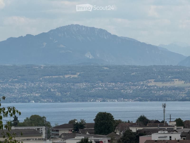 Panoramic view of a town with houses, a lake, and mountains in the background.