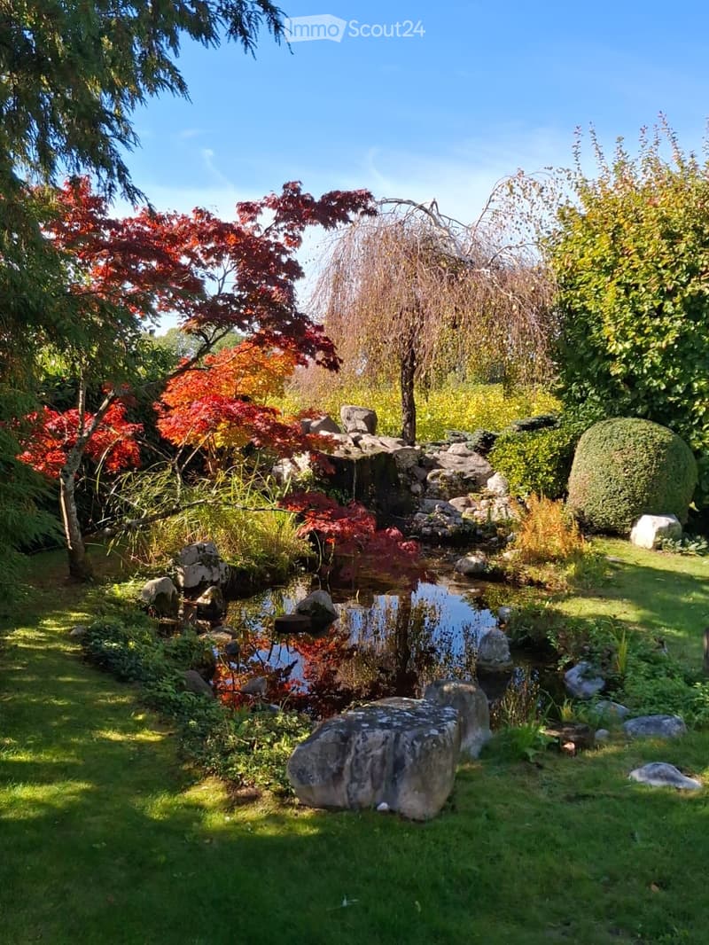 A serene garden with a small pond, surrounded by lush greenery, rocks, and trees, including a weeping willow and a red maple.