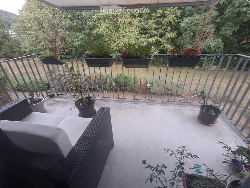 Balcony with a grey wicker sofa, multiple potted plants, and a metal railing overlooking a green landscape.
