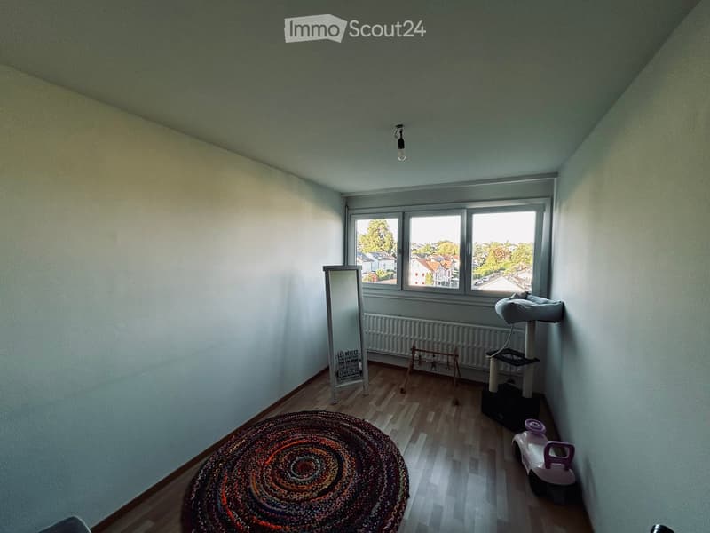 A small, well-lit room with wooden flooring, a large window offering a view of the neighborhood, a round colorful rug, a cat tree, a small toy car, a mirror, and a radiator.