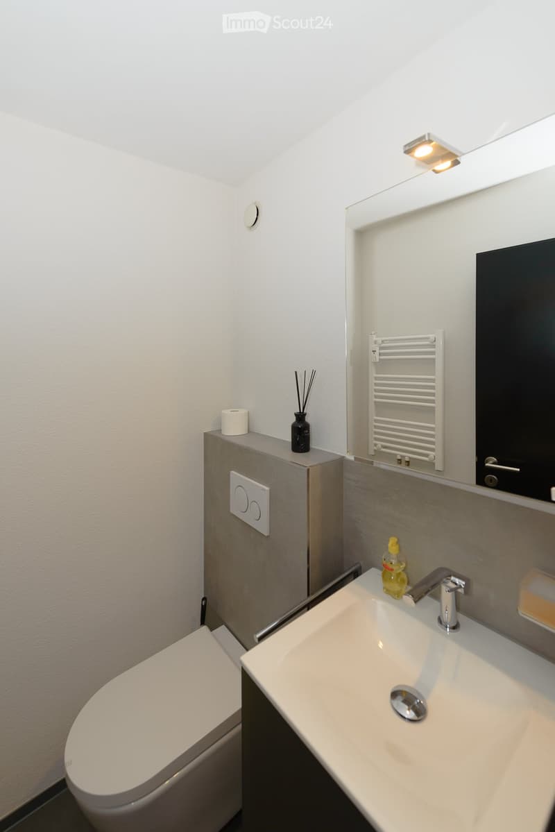 Modern bathroom with a white sink, chrome faucet, toilet, mirror, radiator, and decorative vase on the cabinet.