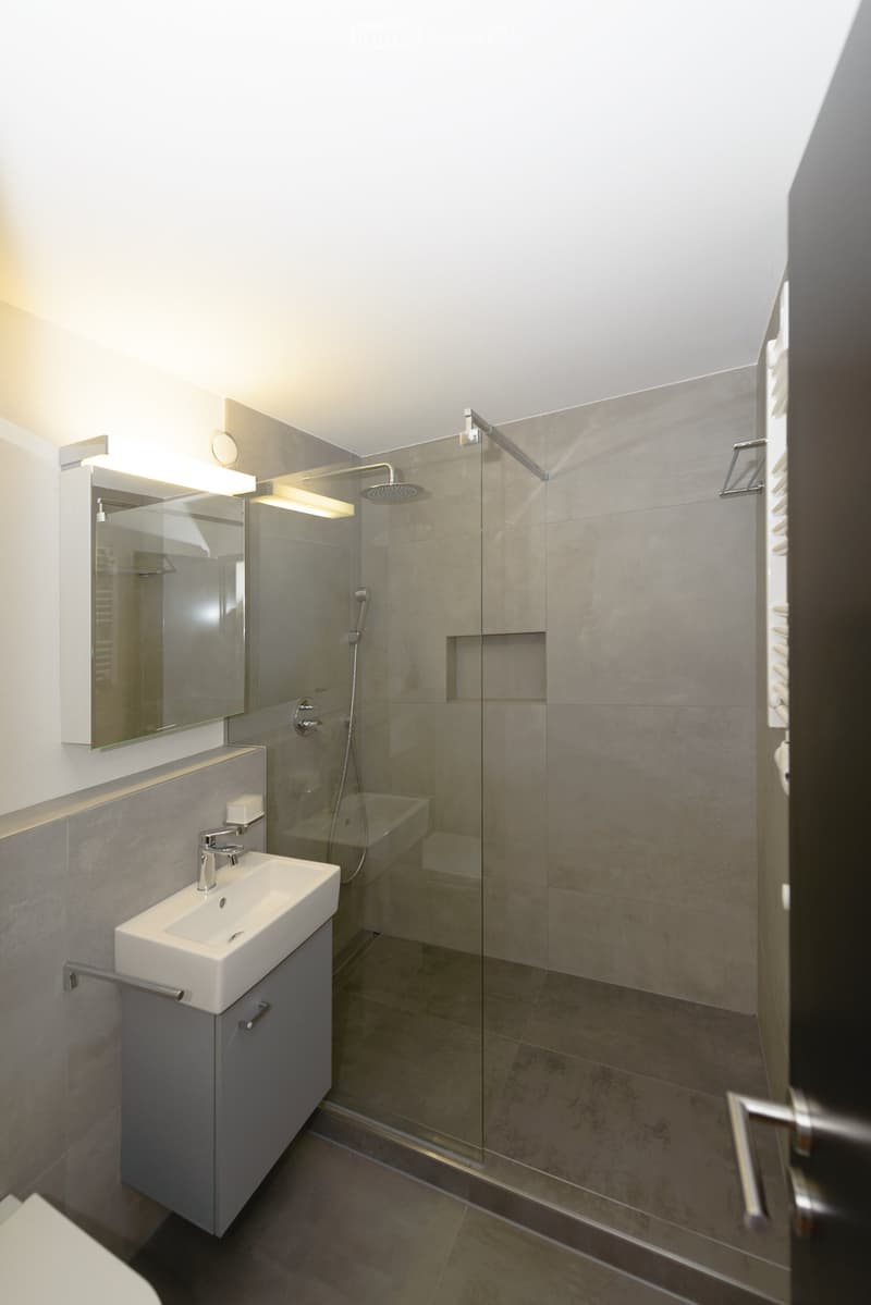 Modern bathroom with a white sink, mirror, glass-enclosed shower, and sleek fixtures.