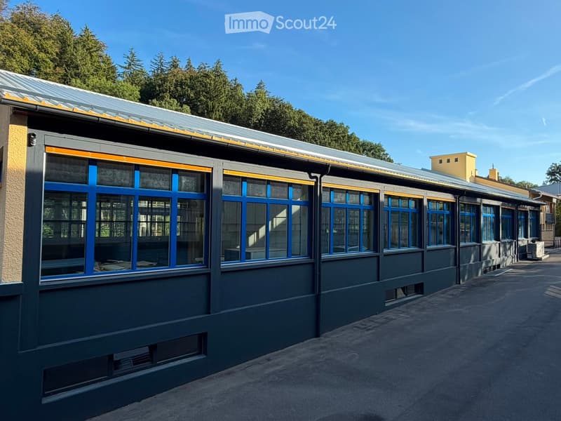 Modern building with grey walls, blue-framed windows, and a metal roof with yellow trim. The structure is surrounded by trees and has a paved ground area.