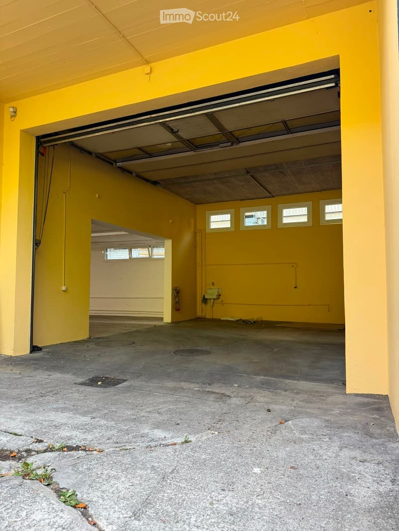 {"type": "Garage", "objects": [], "description": "Open garage with yellow walls, concrete floor, and multiple windows. Features a fire extinguisher and a small utility sink.", "localized_descriptions": {"EN": "Open garage with yellow walls, concrete floor