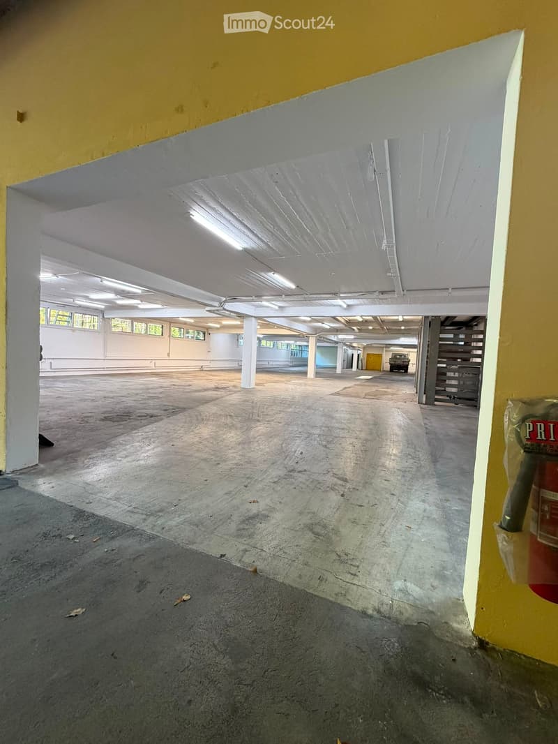 Empty underground parking area with concrete floors, white pillars, and fluorescent lighting. No vehicles or furniture present.