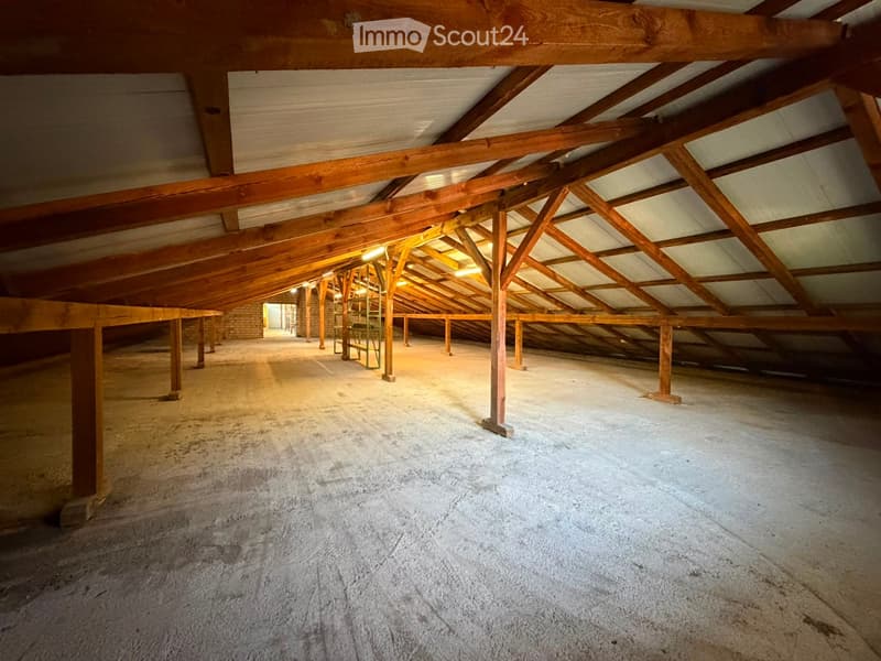 Empty attic space with wooden beams and exposed ceiling structure, concrete floor, and minimal lighting.