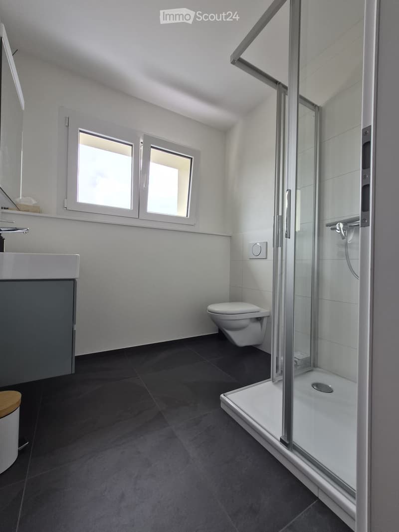 Modern bathroom with dark tiled floor, white walls, a glass-enclosed shower, a toilet, and a sink with a modern faucet.
