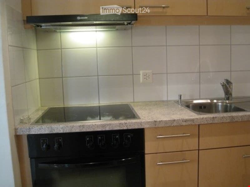 Modern kitchen with an induction stove, oven, sink, and wooden cabinets.