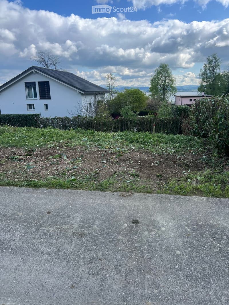 undeveloped land, shrubs, small garden, building in the background