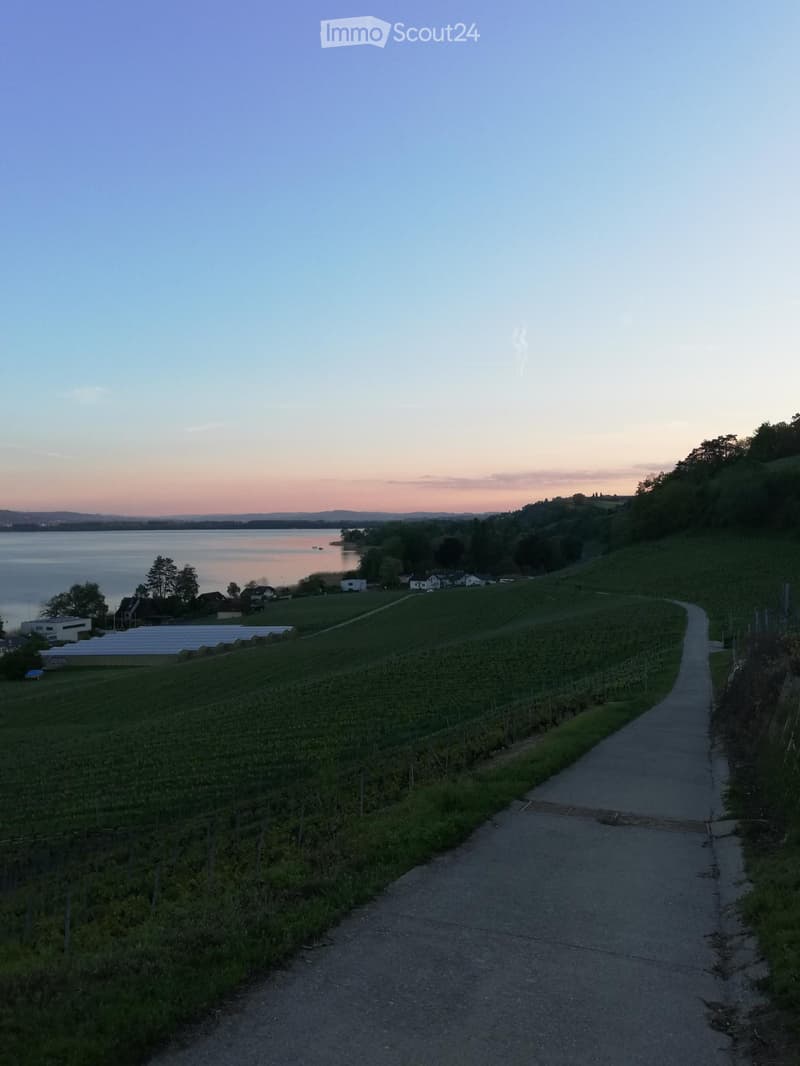 hills, vineyard, path, lake, sunset