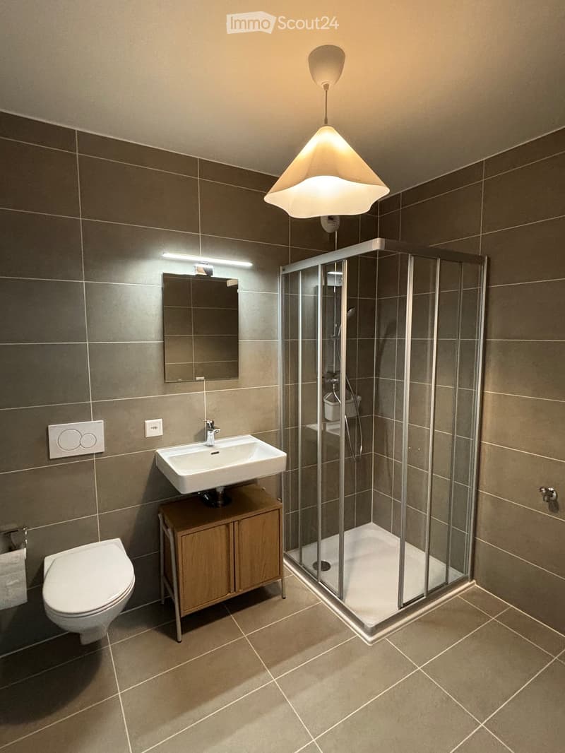 Modern bathroom with a toilet, sink on a wooden cabinet, mirror, and a glass-enclosed shower. Features tiled walls and floor, and a hanging light fixture.