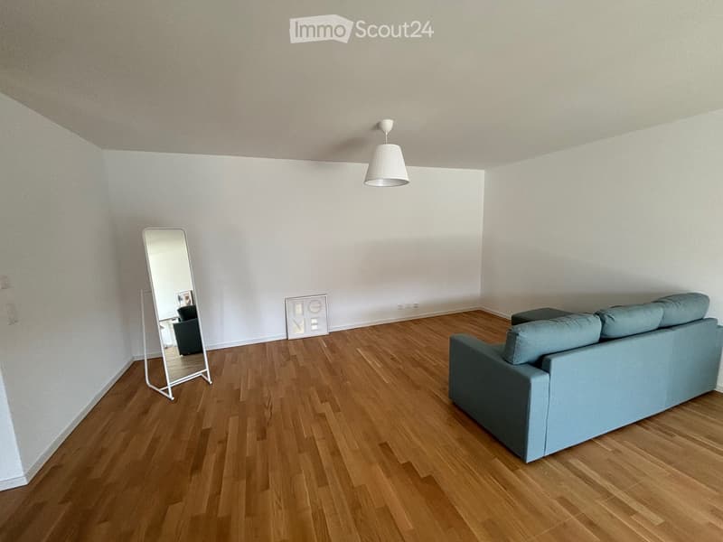 A modern living room with light wooden flooring, white walls, a grey sofa, a full-length mirror, a picture frame, and a white pendant light.