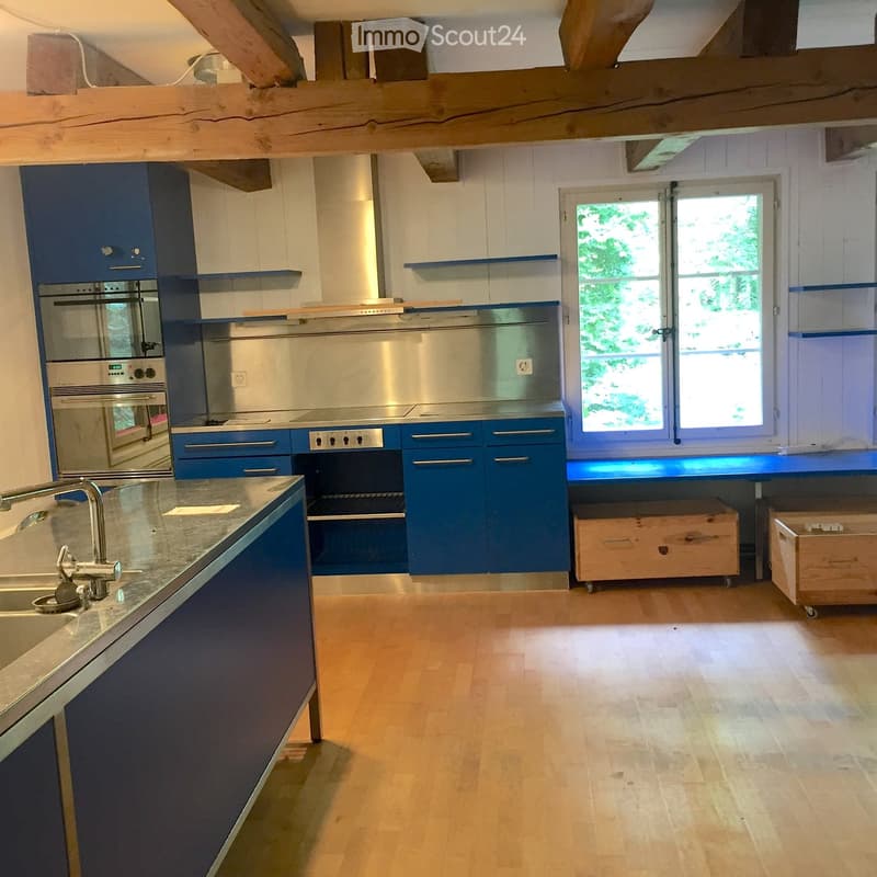 Modern kitchen with blue cabinets, stainless steel appliances, wooden flooring, and large windows letting in natural light.