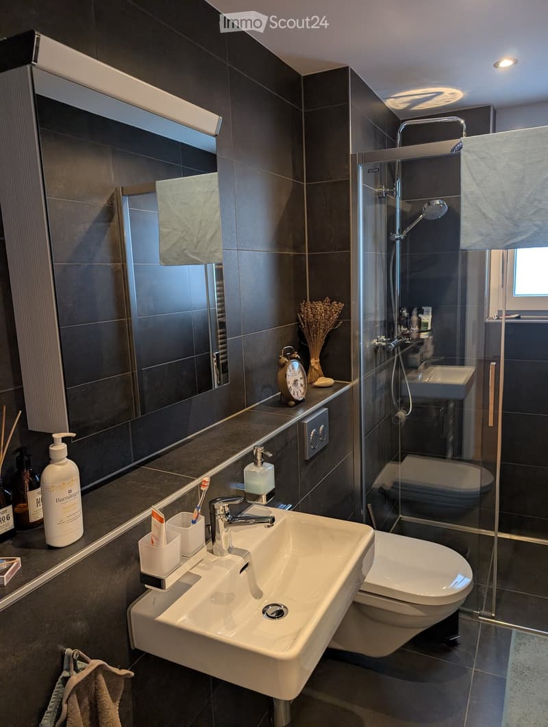 Modern bathroom with dark tiled walls, white sink, chrome faucet, toilet, glass-enclosed shower, and various toiletries.