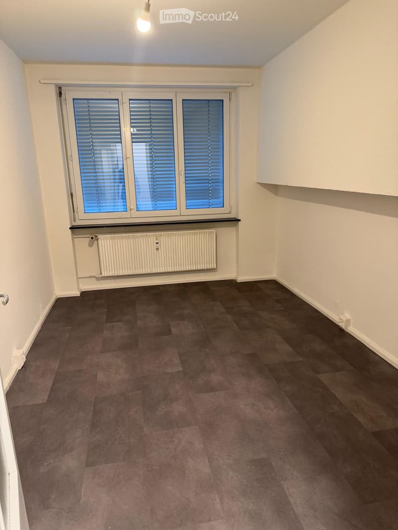 Empty room with dark wooden flooring, white walls, large window with blinds, radiator, and a single light fixture on the ceiling.