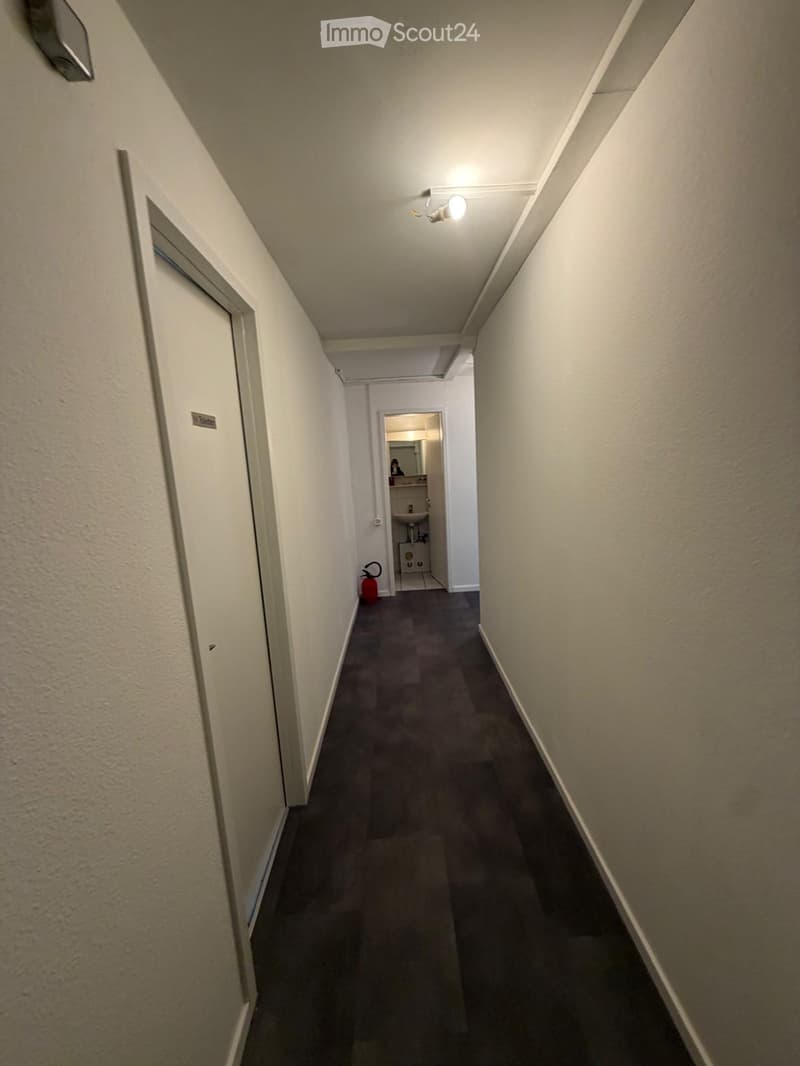 A narrow hallway with beige walls, carpeted floor, and a single light fixture on the ceiling. An open door leads to a small bathroom with a sink, mirror, and a red fire extinguisher placed on the floor.