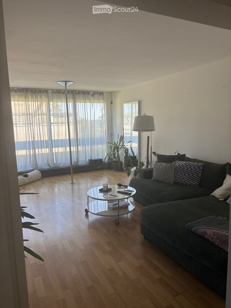Modern living room with wooden flooring, large windows with sheer curtains, a dark grey sectional sofa with patterned cushions, a round glass coffee table, two floor lamps, and potted plants.