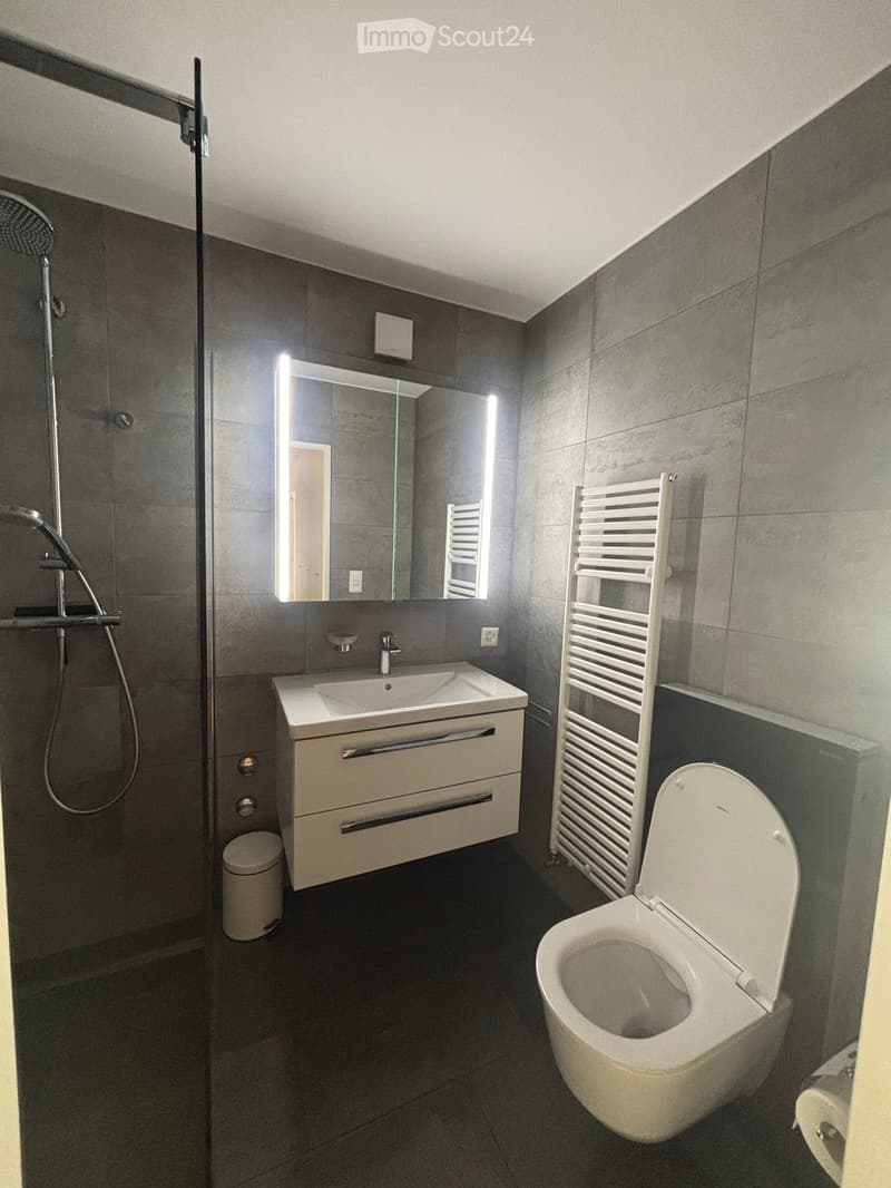 Modern bathroom with dark grey tiles, white sink, toilet, shower, and a radiator. Features a large mirror with built-in lighting.