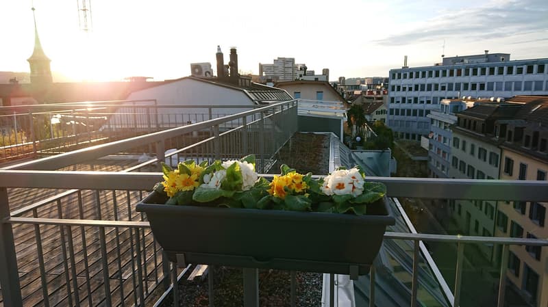 Balcony with wooden decking, metal railing, and a planter with flowers, overlooking a cityscape at sunset.