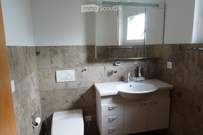 Bathroom with a white sink, mirror, and tiled walls. A toilet is visible on the left side.