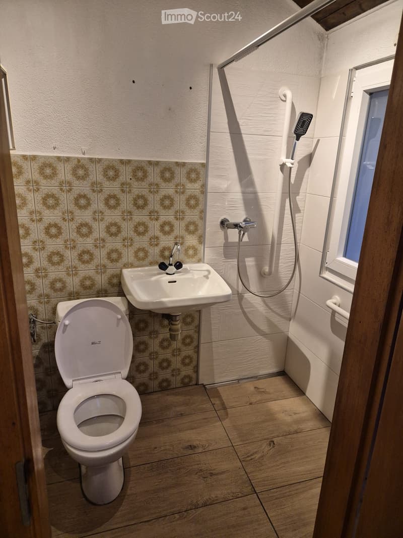 Compact bathroom with wooden flooring, white tiled walls, a toilet, a sink with a faucet, and a handheld shower hose.