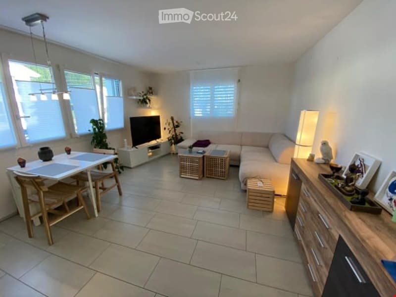 open plan living room with TV, dining table, chairs, sofa, lamp, shelves, plants, tiled floor