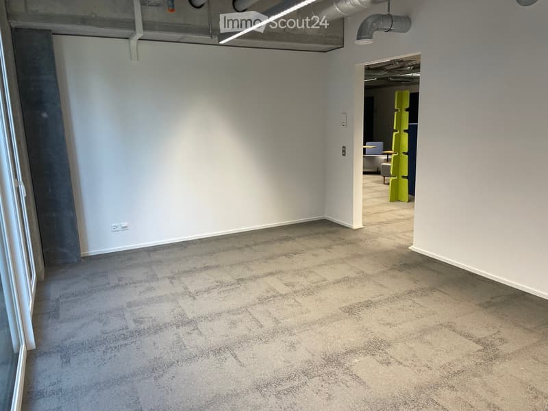 Empty room with white walls, grey carpeted floor, and large windows allowing natural light. No furniture or equipment present.