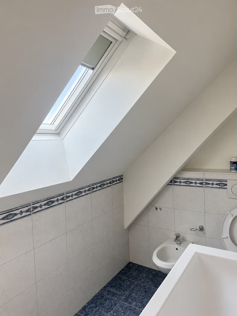 Modern bathroom with white tiles, a skylight window, a toilet, a sink, and a bathtub.